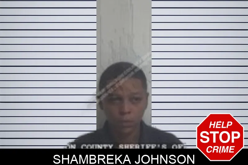 Shambreka Johnson Mugshots