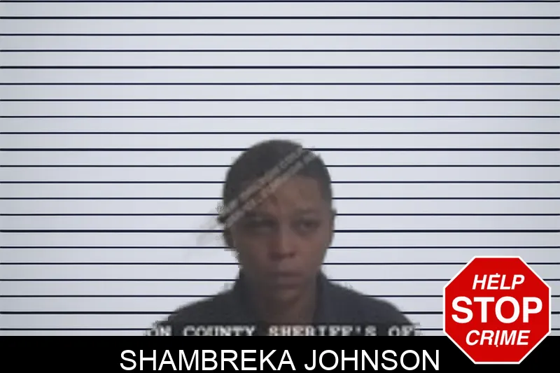 Shambreka Johnson mugshot