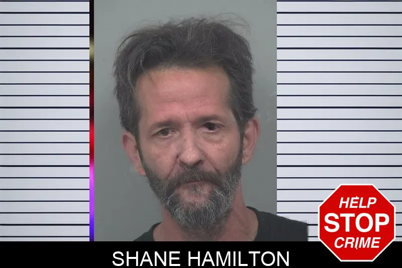 Shane Hamilton Mugshots