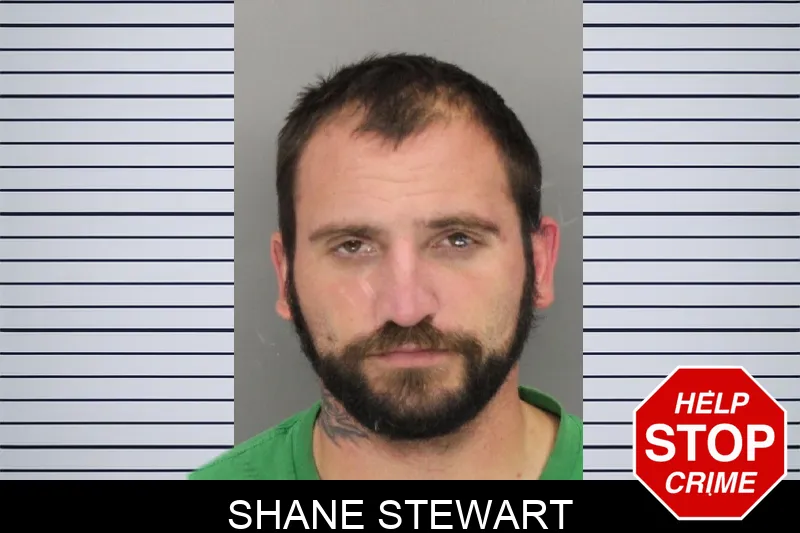 Shane Stewart Mugshots