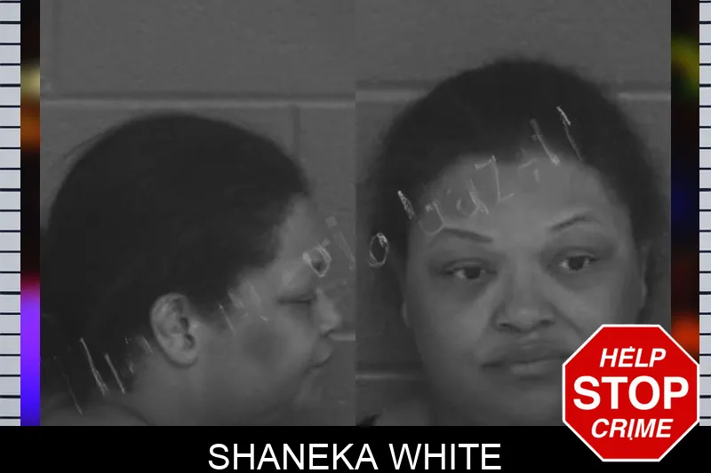 Shaneka White Mugshots
