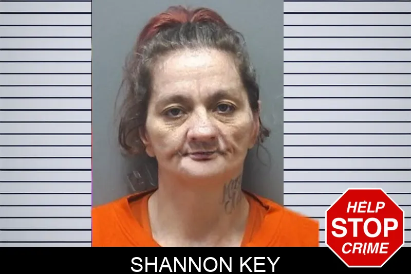 Shannon Key mugshot – Cherokee County , Georgia Shannon Key mugshot