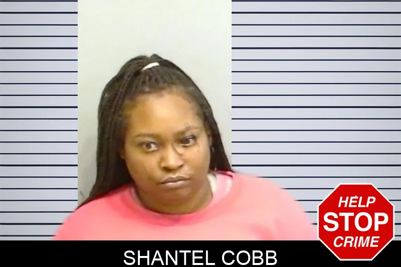 Shantel Cobb mugshot