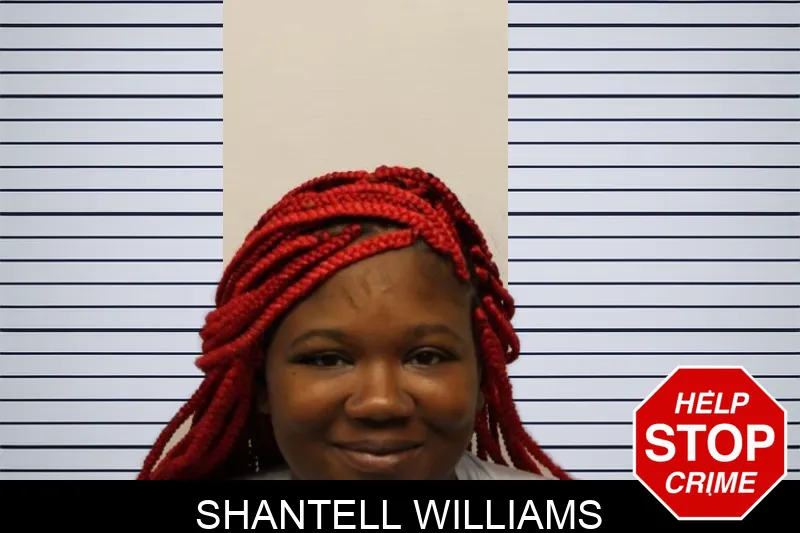 Shantell Williams mugshot