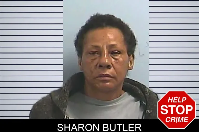 Sharon Butler mugshot – Dawson County , Georgia Sharon Butler