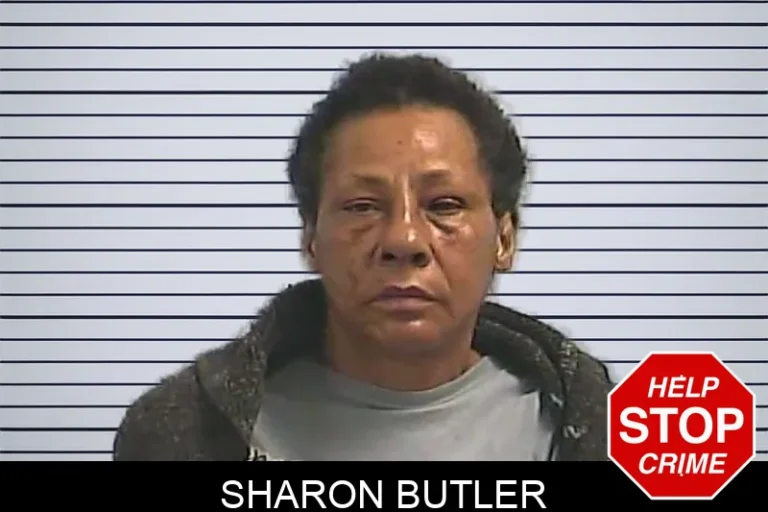 Sharon Butler mugshot – Dawson County , Georgia Sharon Butler