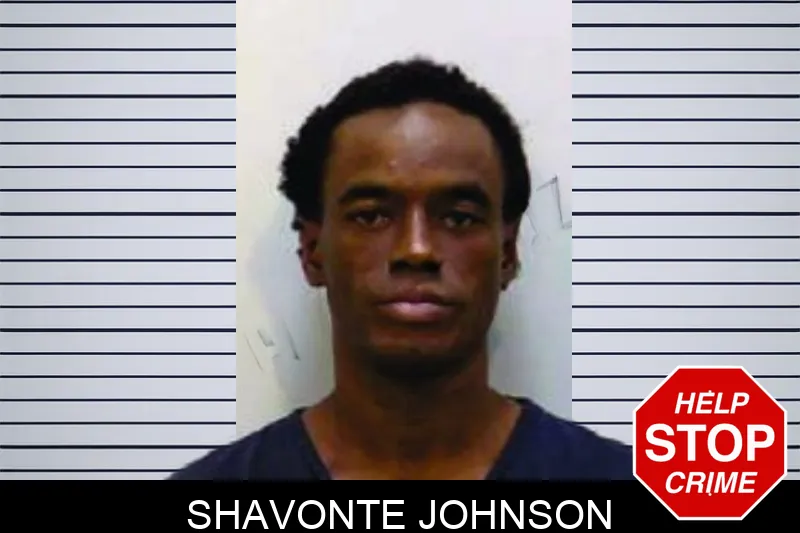 Shavonte Johnson Mugshots