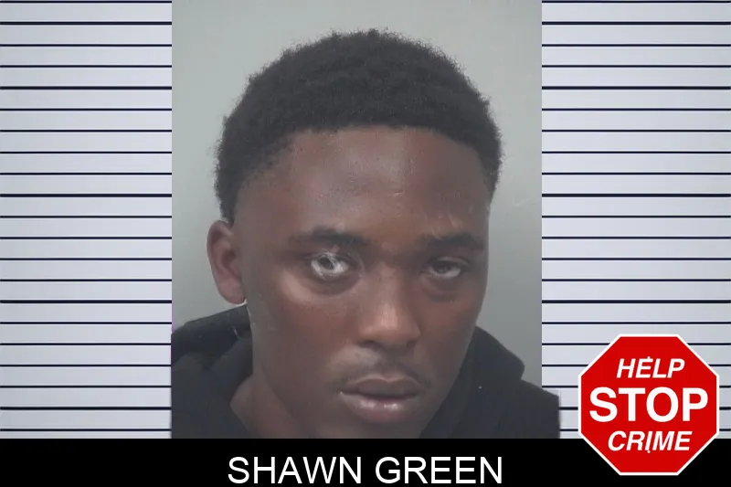Shawn Green mugshot