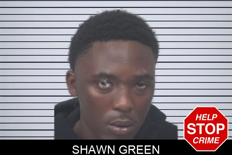 Shawn Green Mugshots