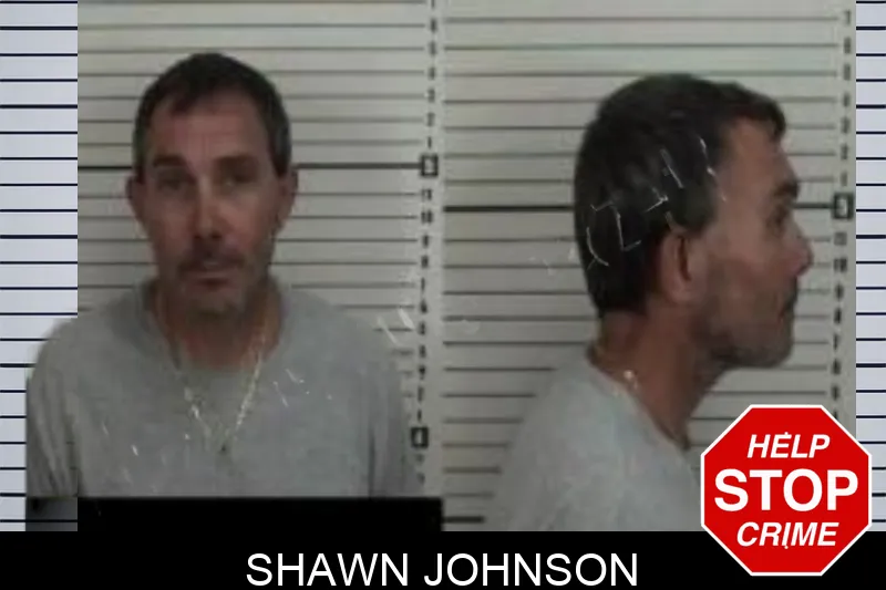 Shawn Johnson Mugshots