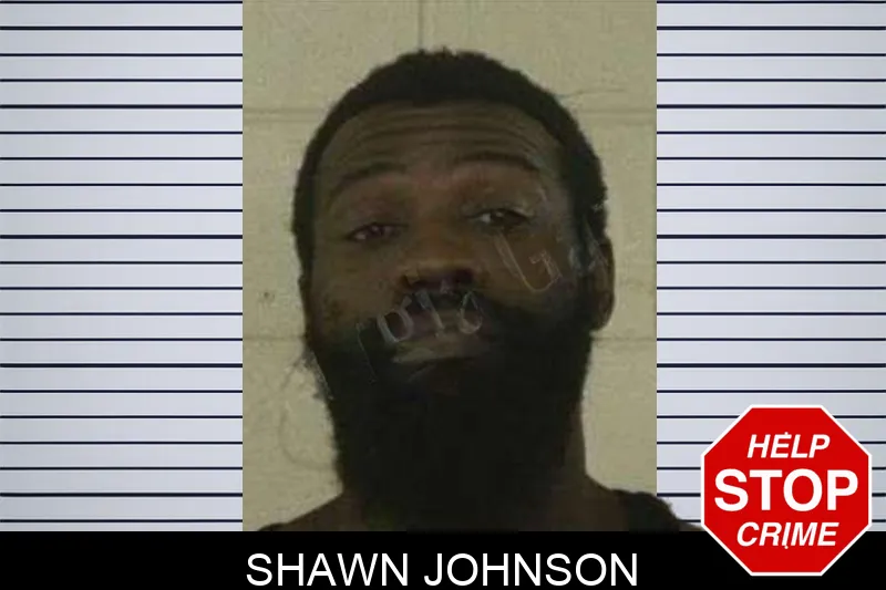 Shawn Johnson Mugshots