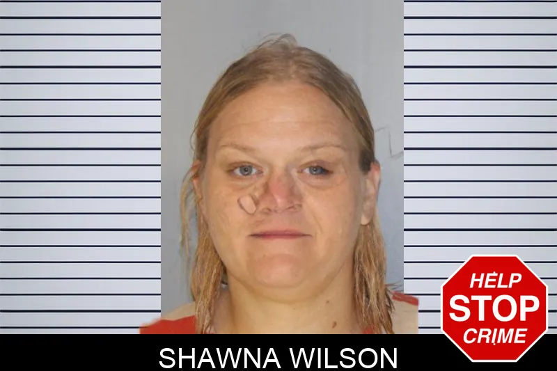 Shawna Wilson Mugshots
