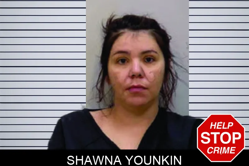 Shawna Younkin Mugshots