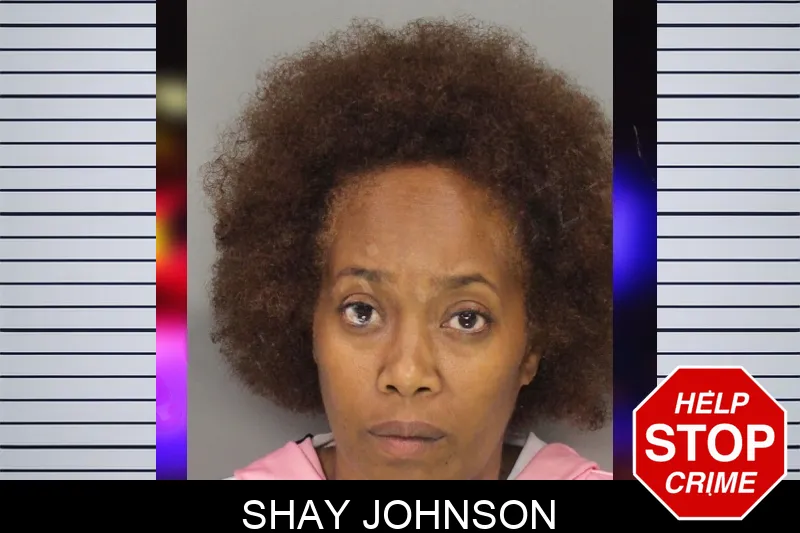 Shay Johnson mugshot