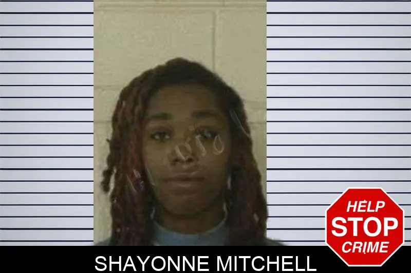 Shayonne Mitchell Mugshots