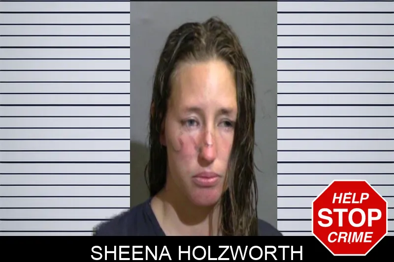 Sheena Holzworth Mugshots