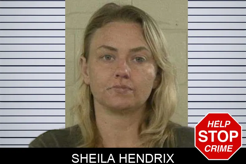 Sheila Hendrix mugshot – Liberty County , Georgia Sheila Hendrix mugshot