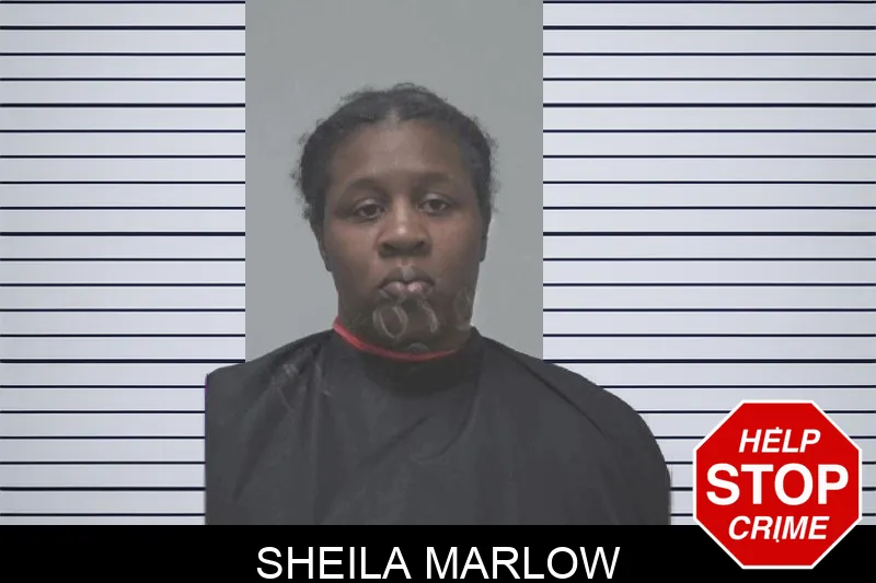 Sheila Marlow mugshot – Coweta County , Georgia Sheila Marlow mugshot