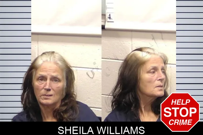 Sheila Williams mugshot