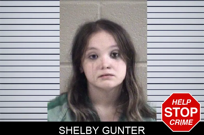 Shelby Gunter mugshot – Whitfield County , Georgia Shelby Gunter mugshot