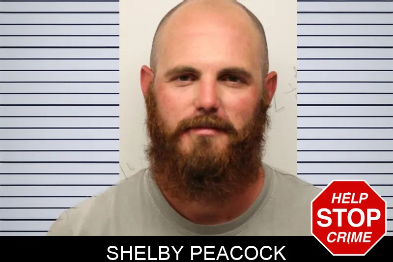Shelby Peacock mugshot – Chatham County , Georgia Shelby Peacock mugshot