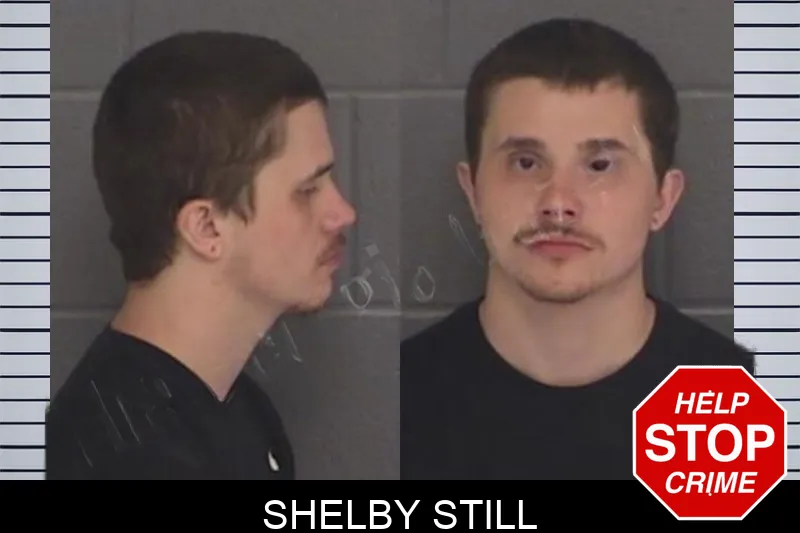 Shelby Still