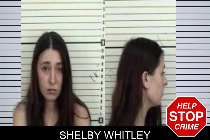 Shelby Whitley Mugshots