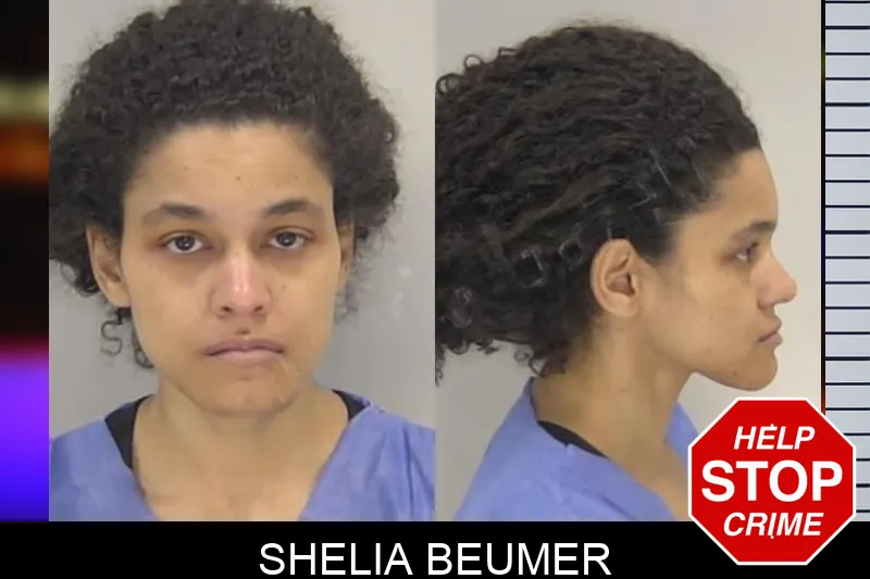 Shelia Beumer Mugshots