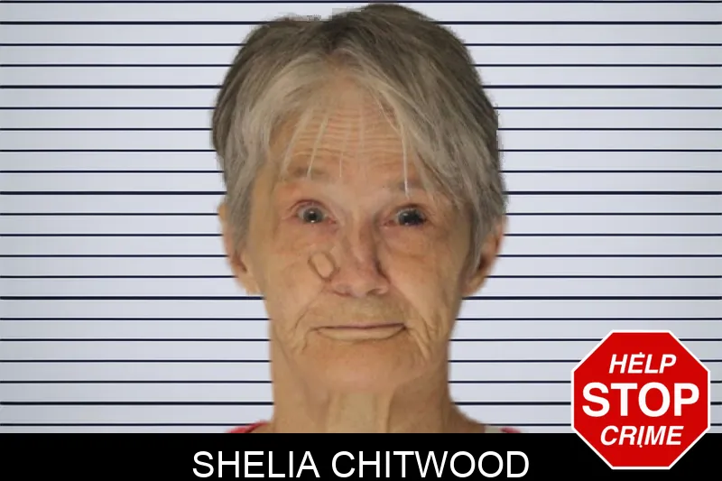 Shelia Chitwood Mugshots