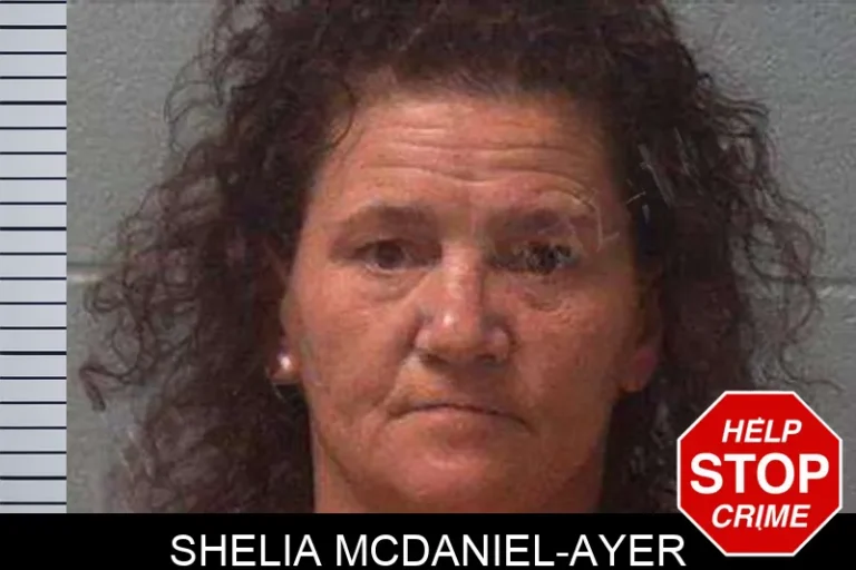 Shelia McDaniel-Ayer