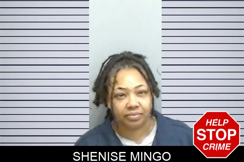 Shenise Mingo mugshot – Fulton County , Georgia Shenise Mingo mugshot