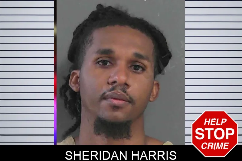 Sheridan Harris Mugshots