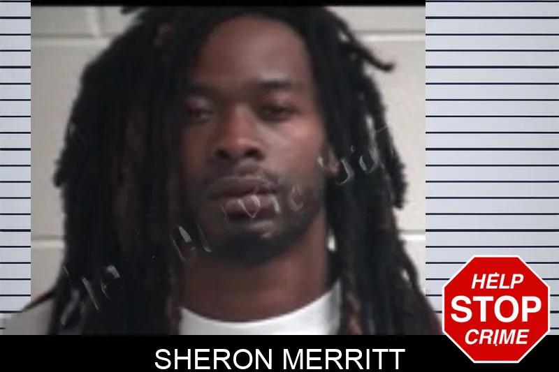 Sheron Merritt Mugshots