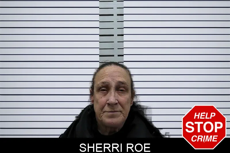 Sherri Roe Mugshots