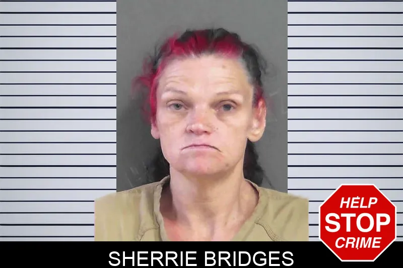 Sherrie Bridges Mugshots