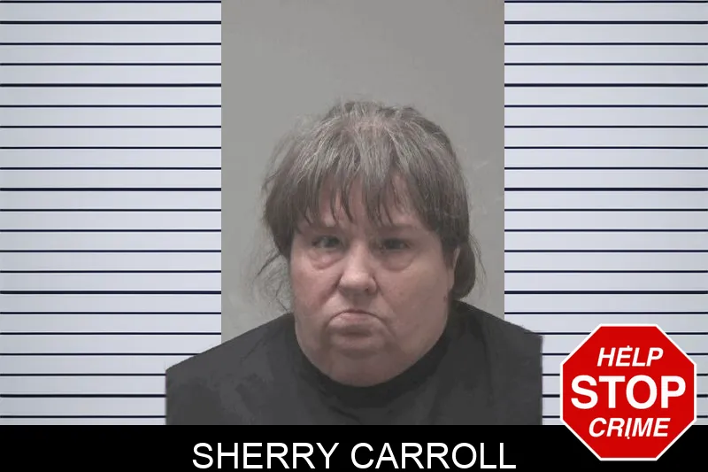 Sherry Carroll mugshot