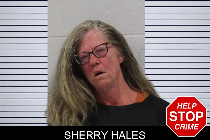 Sherry Hales Mugshots