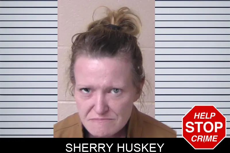 Sherry Huskey Mugshots