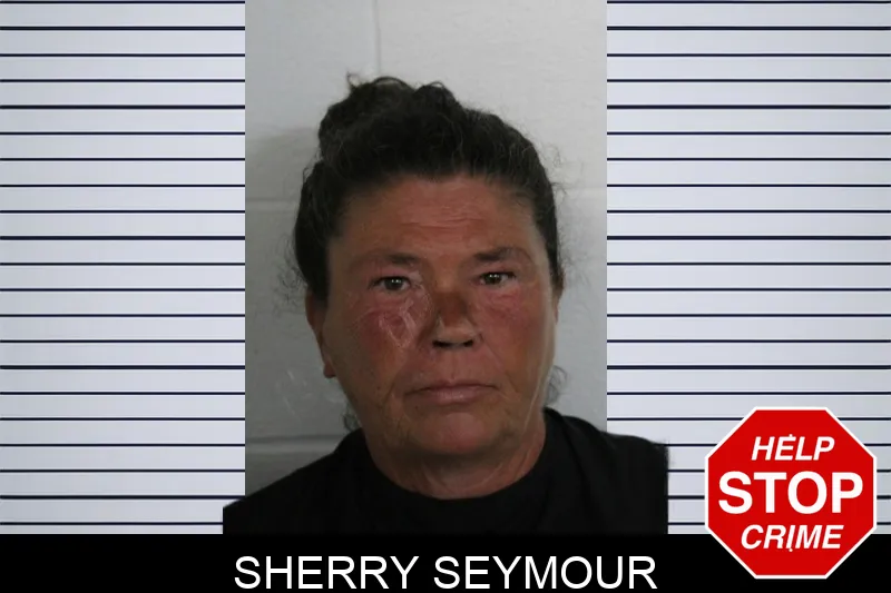 Sherry Seymour Mugshots