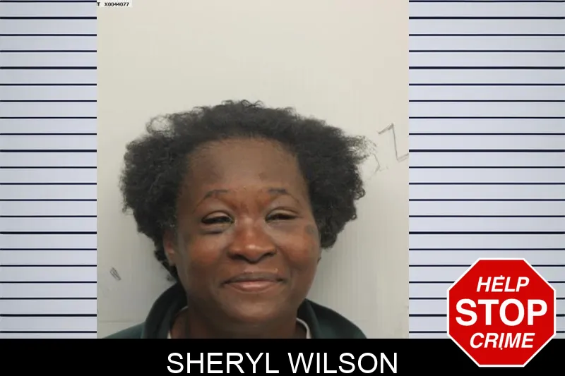 Sheryl Wilson Mugshots