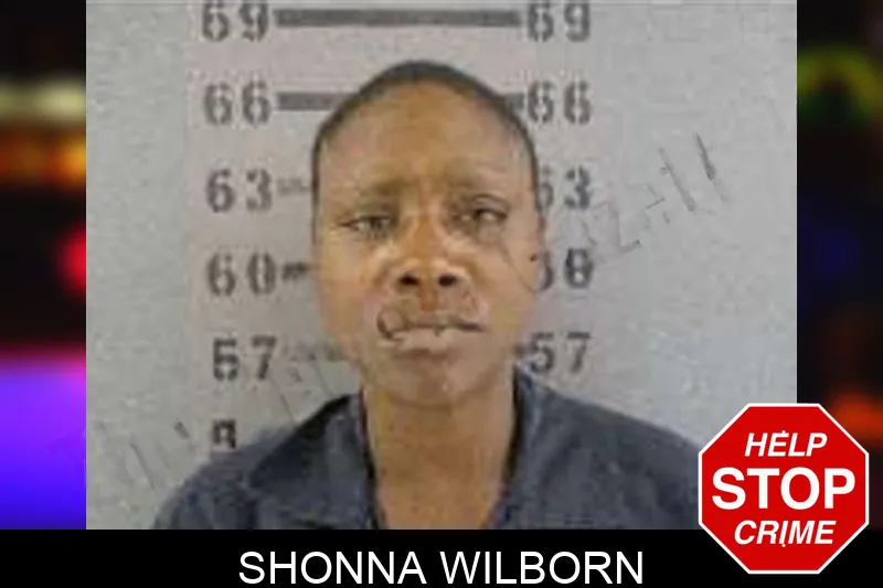 Shonna Wilborn Mugshots
