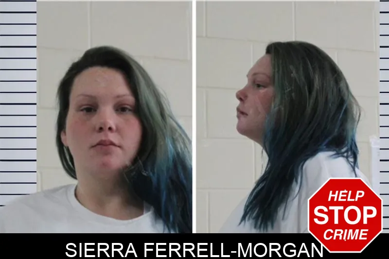 Sierra Ferrell-Morgan mugshot