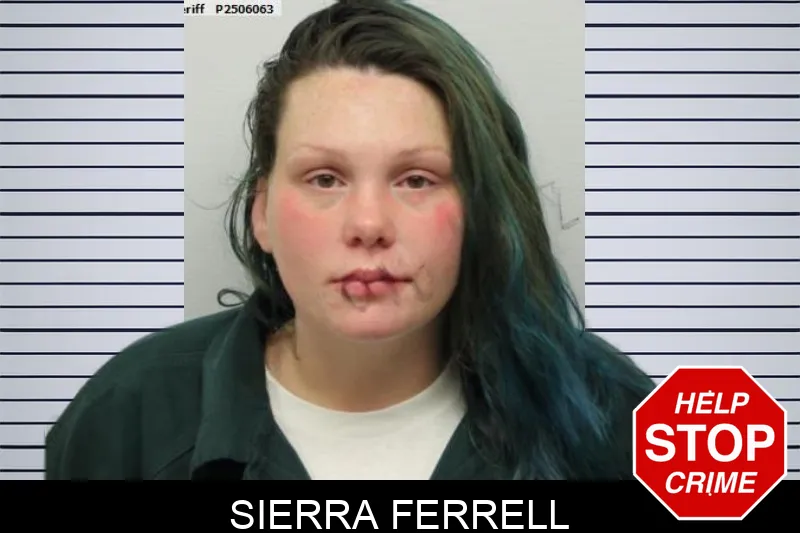 Sierra Ferrell mugshot