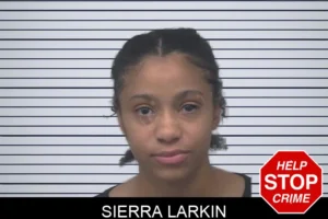 Sierra Larkin mugshot