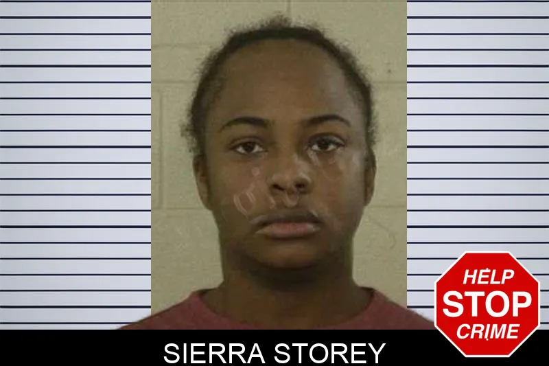 Sierra Storey mugshot – Liberty County , Georgia Sierra Storey mugshot