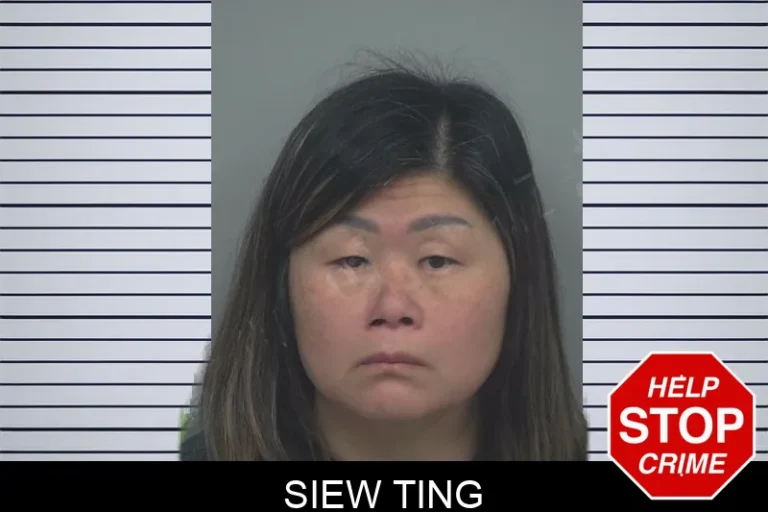 Siew Ting mugshot – Gwinnett County , Georgia Siew Ting