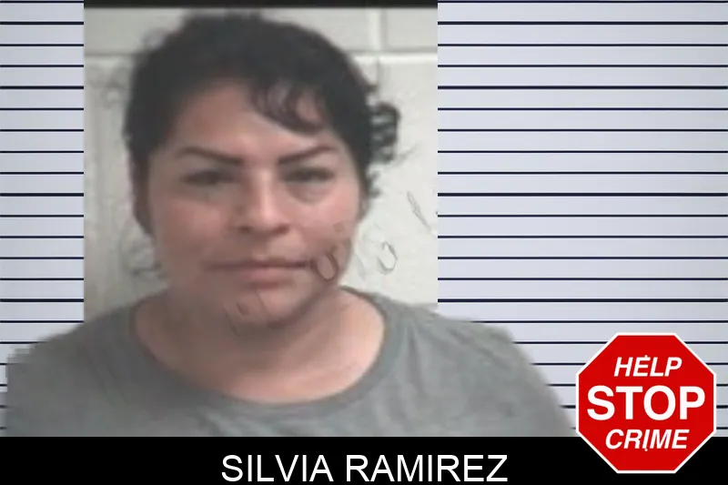Silvia Ramirez Mugshots