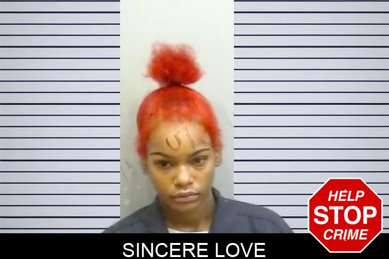 Sincere Love mugshot – Fulton County , Georgia Sincere Love mugshot