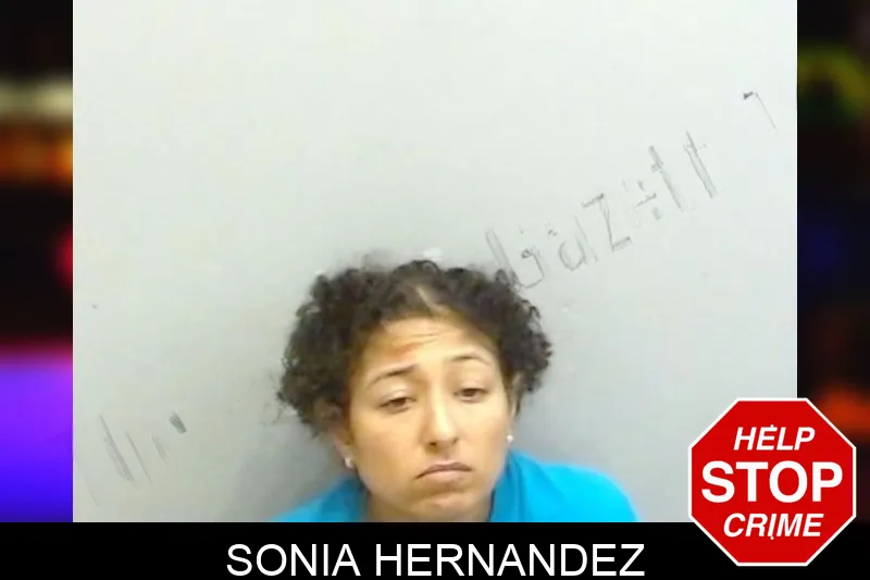 Sonia Hernandez Mugshots