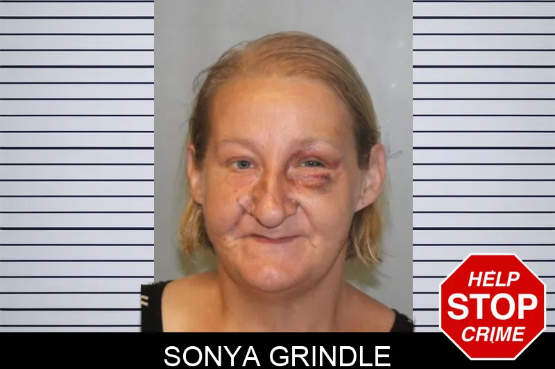 Sonya Grindle mugshot – Hall County , Georgia Sonya Grindle mugshot